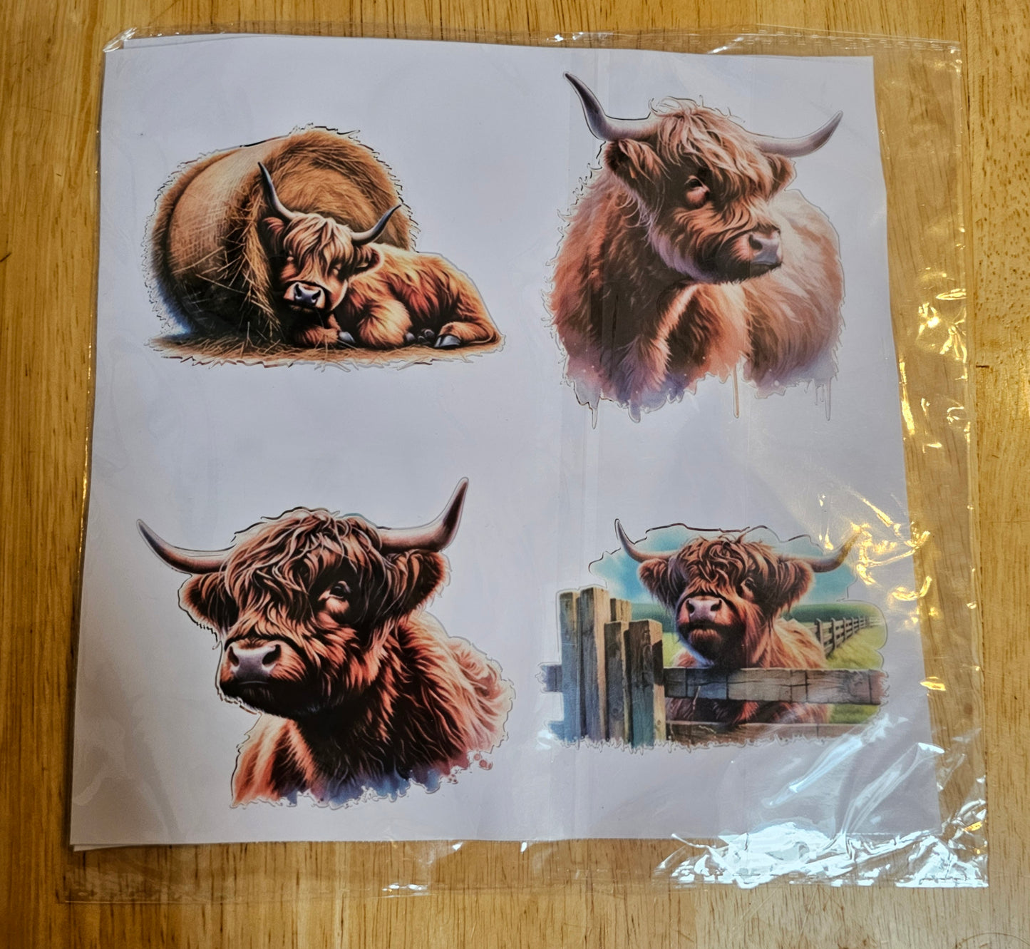 Highland cow assorted stickers