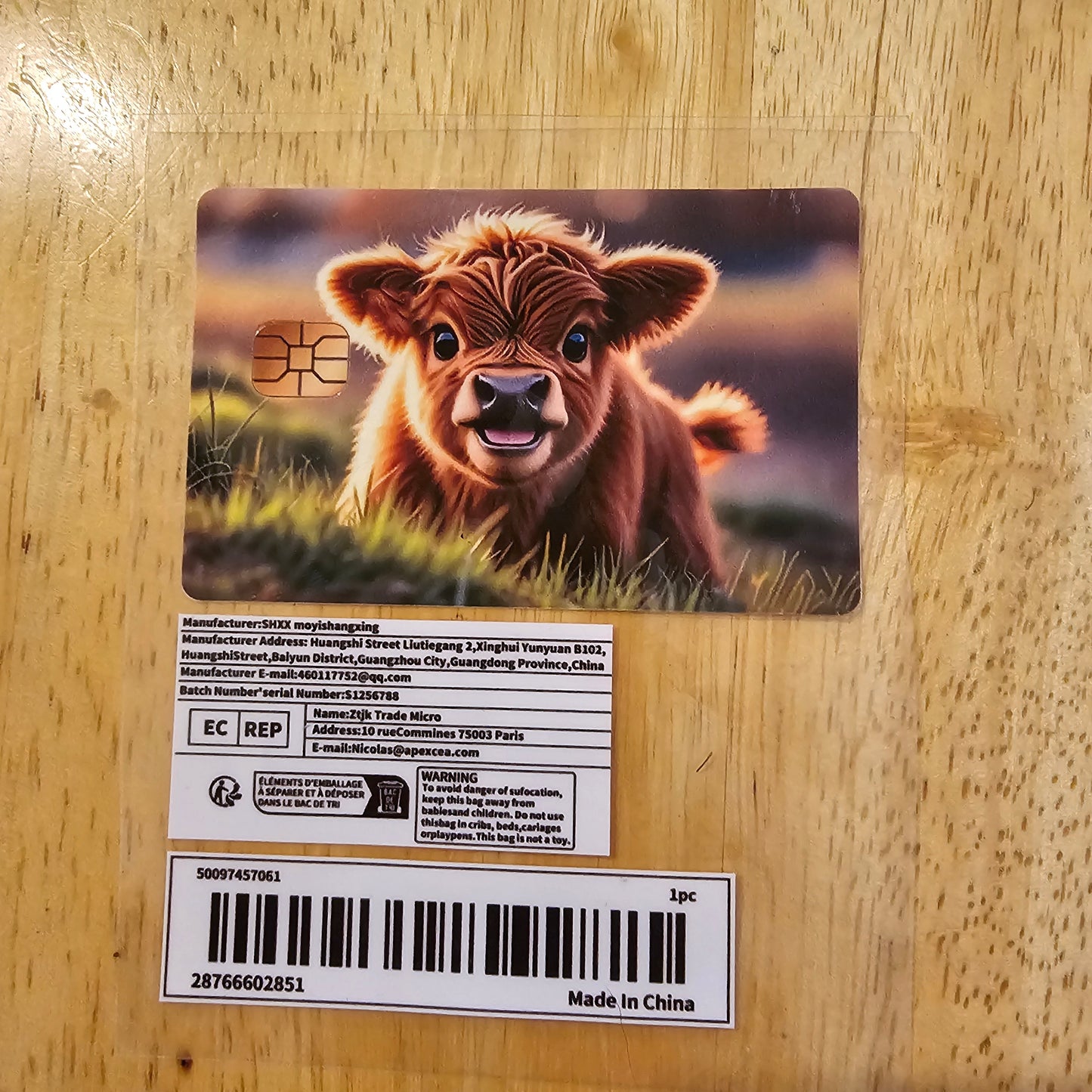 Highland cow card sticker